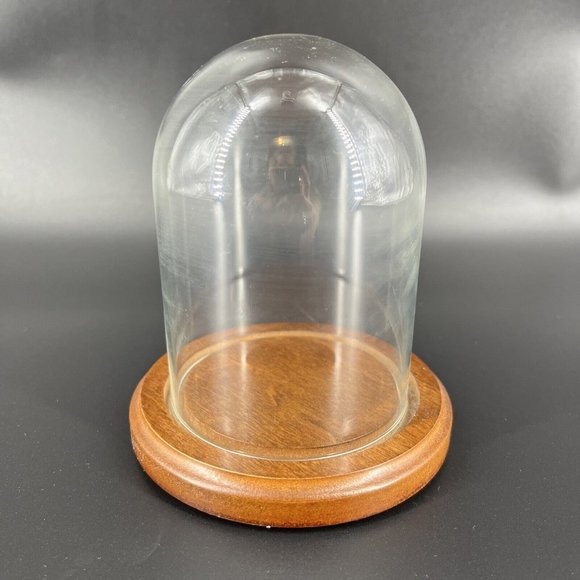 Vintage Glass Dome Wood Base Display Case Made in Taiwan Bard’s - Picture 1 of 13